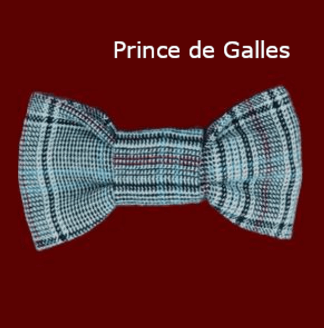 Short Prince de Galles ou Velours