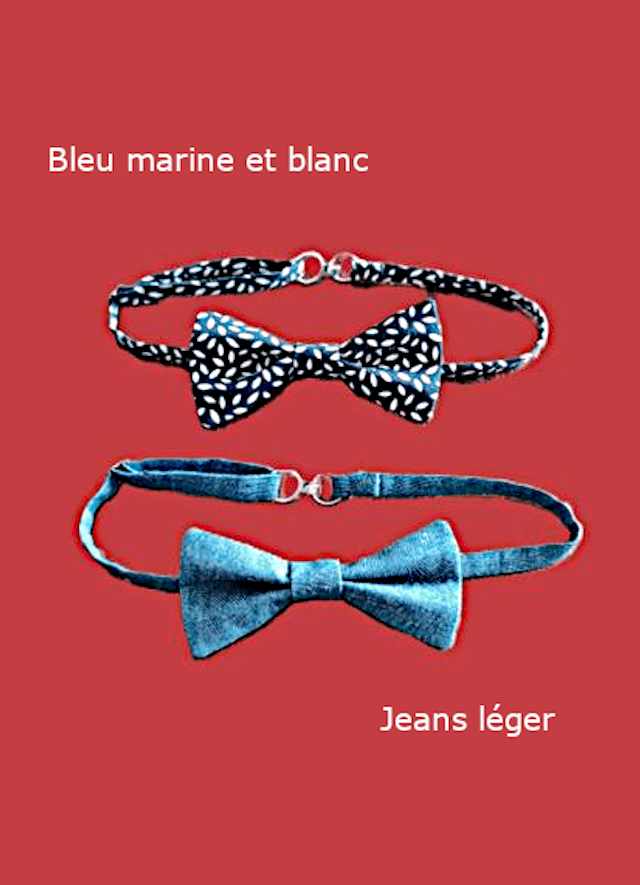 Noeud papillon